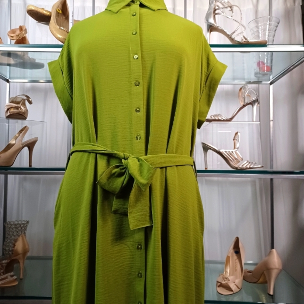 Button-Front Tie-Waist Maxi Dress in Lime Green - Picture 4 of 15